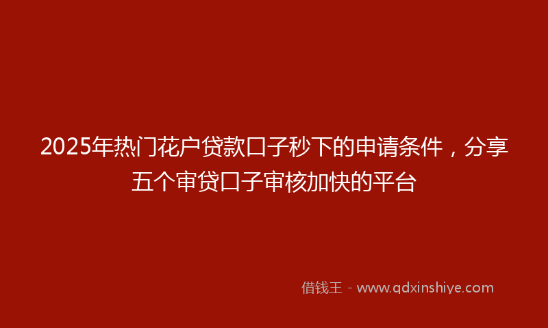 2025年热门花户贷款口子秒下的申请条件，分享五个审贷口子审核加快的平台