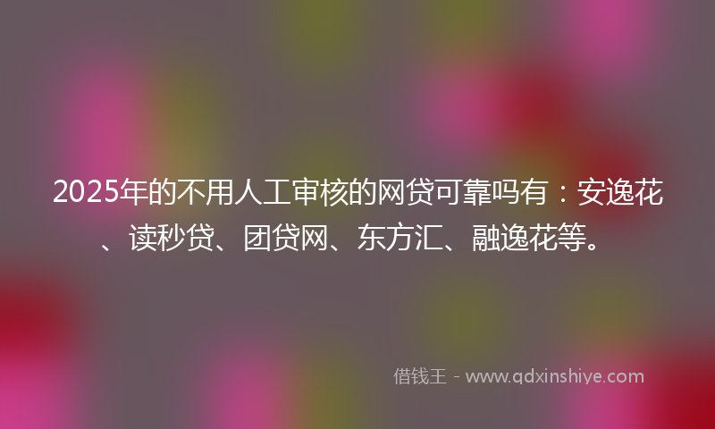 2025年的不用人工审核的网贷可靠吗有：安逸花、读秒贷、团贷网、东方汇、融逸花等。