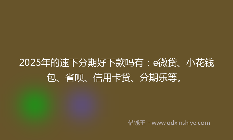 2025年的速下分期好下款吗有：e微贷、小花钱包、省呗、信用卡贷、分期乐等。