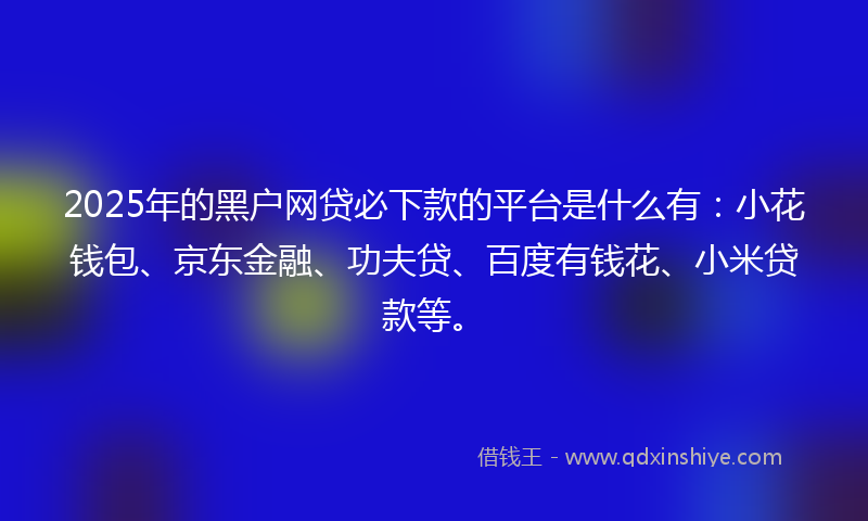 2025年的黑户网贷必下款的平台是什么有：小花钱包、京东金融、功夫贷、百度有钱花、小米贷款等。
