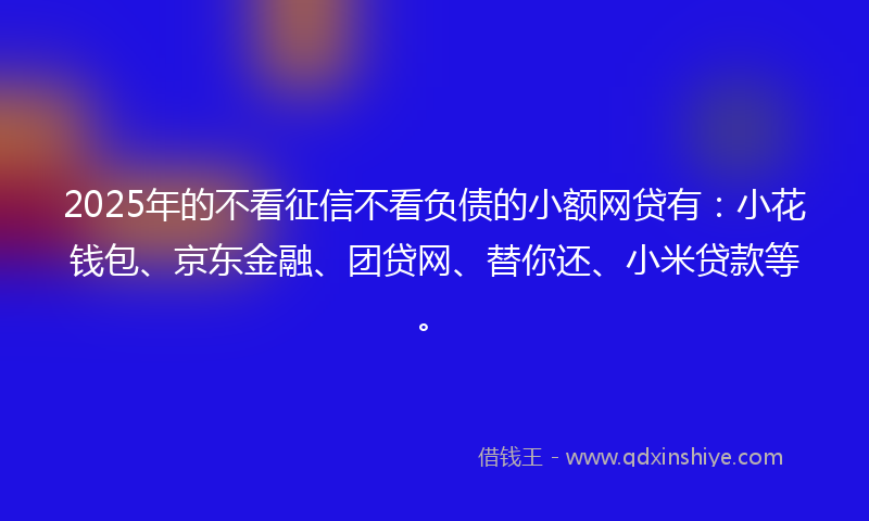 2025年的不看征信不看负债的小额网贷有：小花钱包、京东金融、团贷网、替你还、小米贷款等。