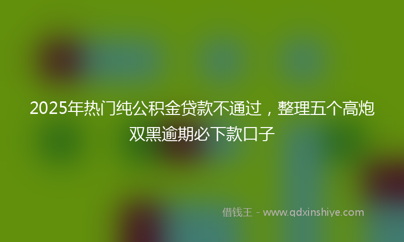 2025年热门纯公积金贷款不通过，整理五个高炮双黑逾期必下款口子
