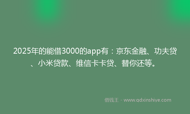 2025年的能借3000的app有：京东金融、功夫贷、小米贷款、维信卡卡贷、替你还等。