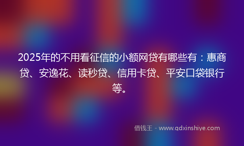2025年的不用看征信的小额网贷有哪些有：惠商贷、安逸花、读秒贷、信用卡贷、平安口袋银行等。