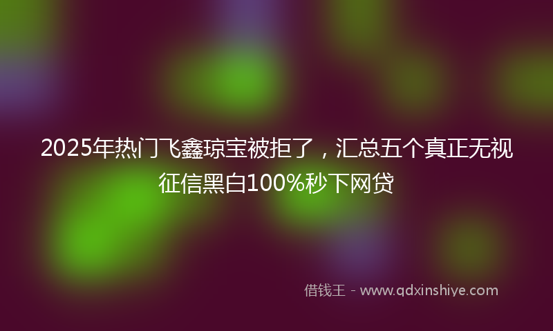 2025年热门飞鑫琼宝被拒了，汇总五个真正无视征信黑白100%秒下网贷