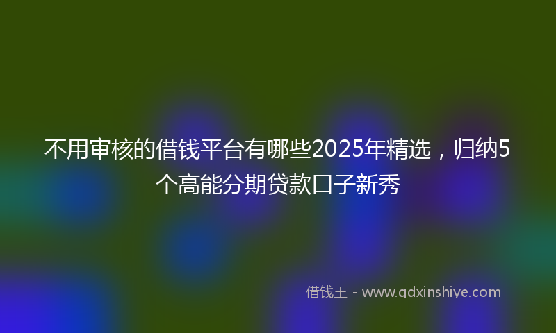 不用审核的借钱平台有哪些2025年精选，归纳5个高能分期贷款口子新秀