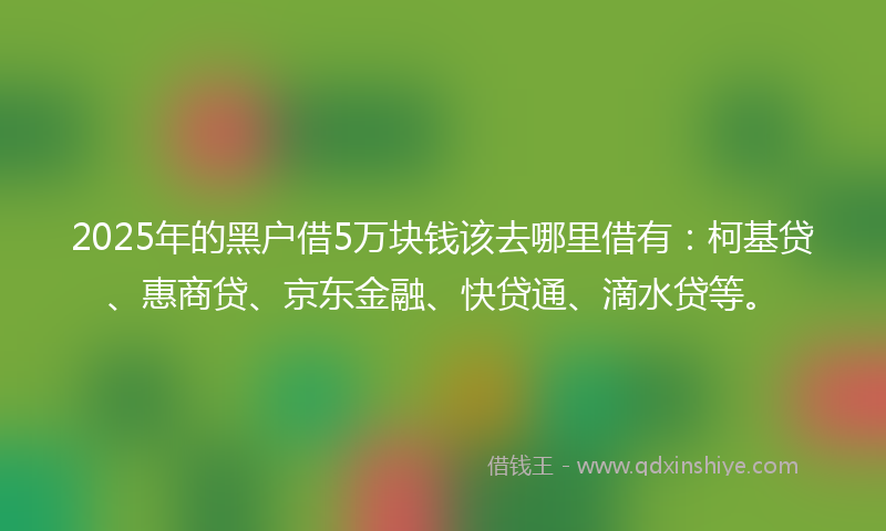 2025年的黑户借5万块钱该去哪里借有：柯基贷、惠商贷、京东金融、快贷通、滴水贷等。