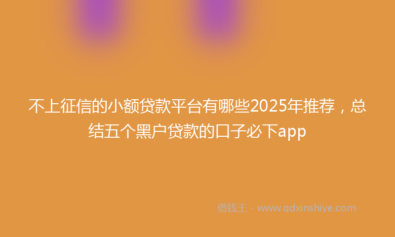 不上征信的小额贷款平台有哪些2025年推荐，总结五个黑户贷款的口子必下app