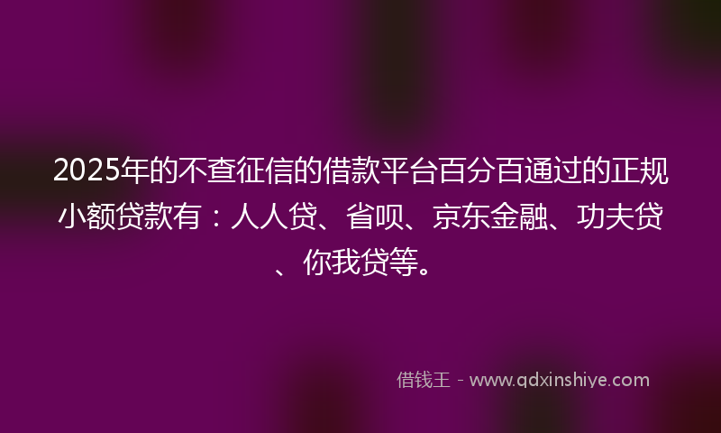 2025年的不查征信的借款平台百分百通过的正规小额贷款有：人人贷、省呗、京东金融、功夫贷、你我贷等。