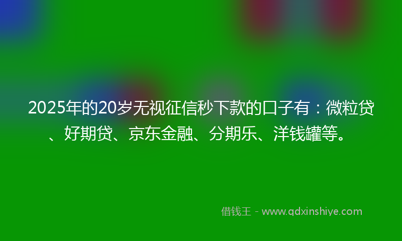 2025年的20岁无视征信秒下款的口子有：微粒贷、好期贷、京东金融、分期乐、洋钱罐等。