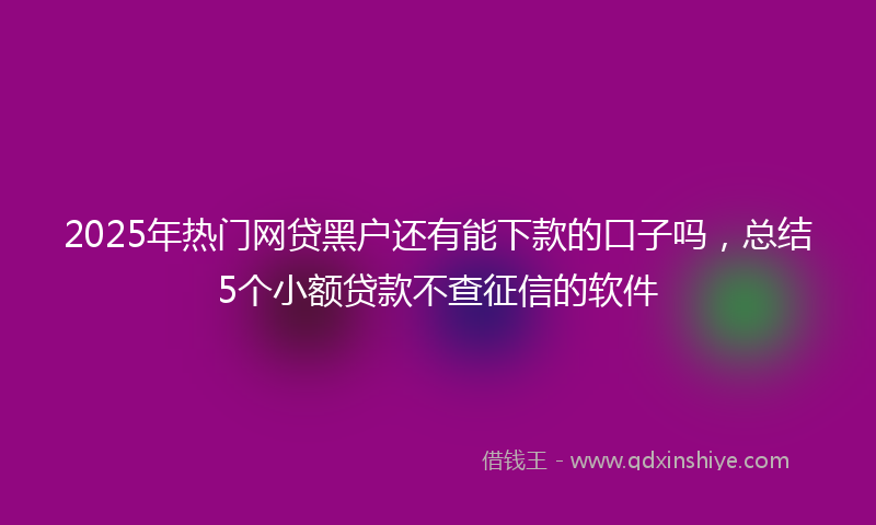2025年热门网贷黑户还有能下款的口子吗，总结5个小额贷款不查征信的软件