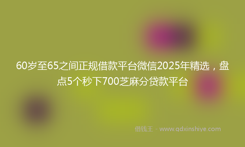 60岁至65之间正规借款平台微信2025年精选，盘点5个秒下700芝麻分贷款平台