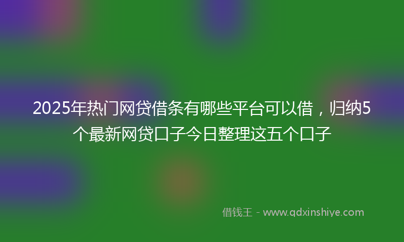 2025年热门网贷借条有哪些平台可以借，归纳5个最新网贷口子今日整理这五个口子