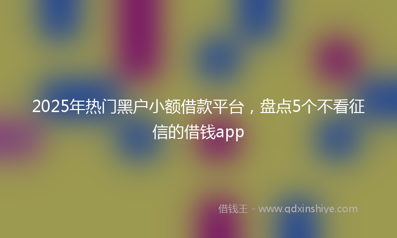 2025年热门黑户小额借款平台，盘点5个不看征信的借钱app