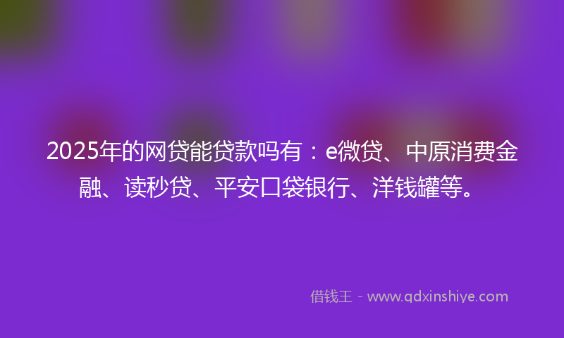 2025年的网贷能贷款吗有：e微贷、中原消费金融、读秒贷、平安口袋银行、洋钱罐等。