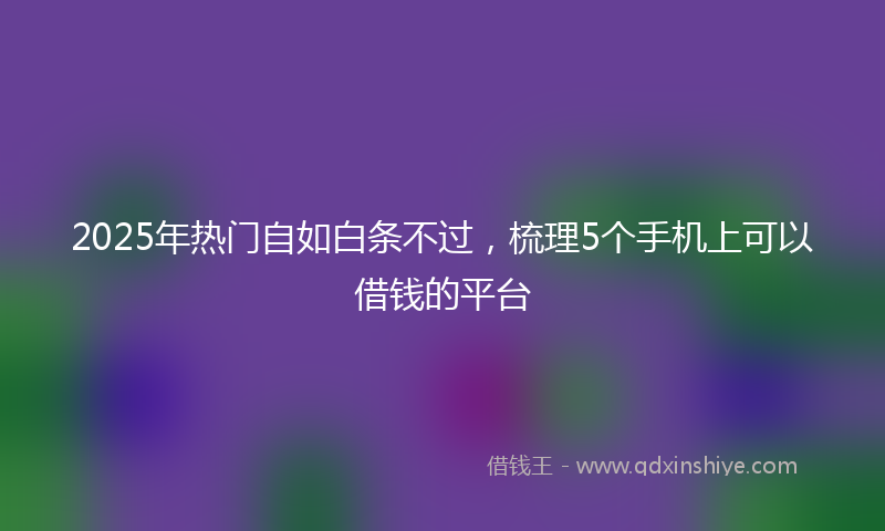 2025年热门自如白条不过，梳理5个手机上可以借钱的平台