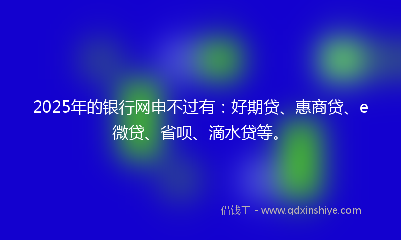 2025年的银行网申不过有：好期贷、惠商贷、e微贷、省呗、滴水贷等。