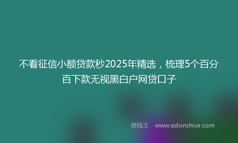 不看征信小额贷款秒2025年精选，梳理5个百分百下款无视黑白户网贷口子