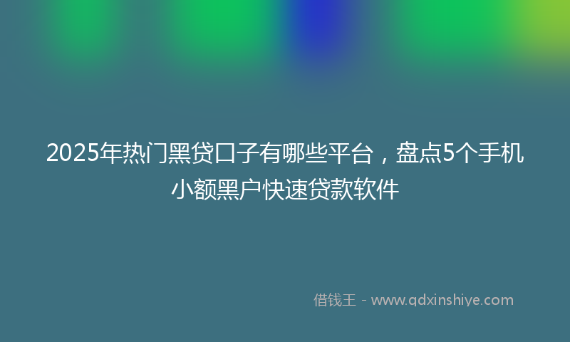 2025年热门黑贷口子有哪些平台，盘点5个手机小额黑户快速贷款软件