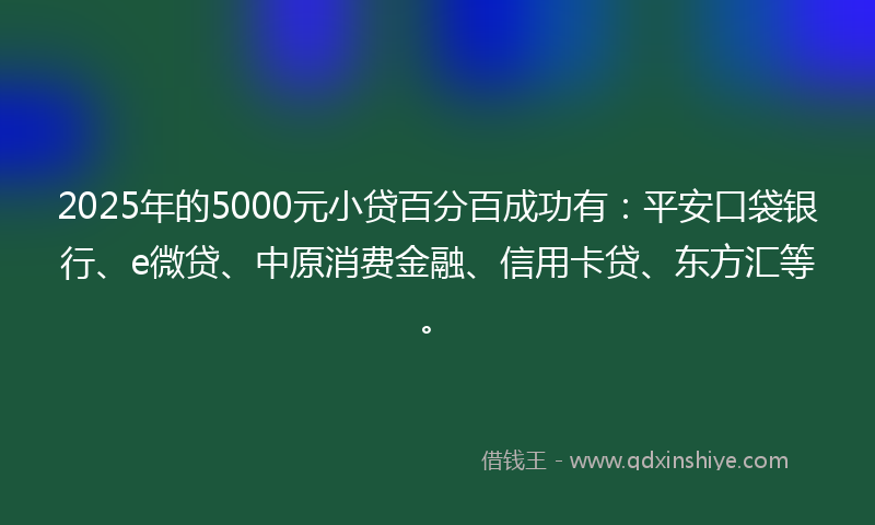 2025年的5000元小贷百分百成功有：平安口袋银行、e微贷、中原消费金融、信用卡贷、东方汇等。