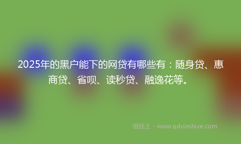 2025年的黑户能下的网贷有哪些有：随身贷、惠商贷、省呗、读秒贷、融逸花等。