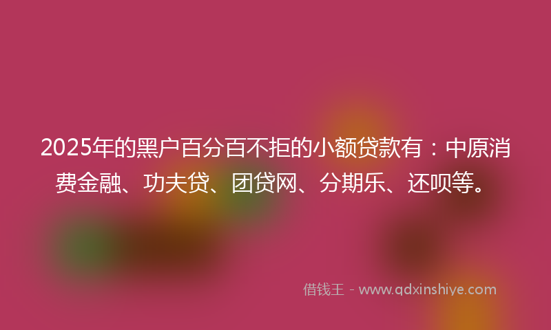 2025年的黑户百分百不拒的小额贷款有：中原消费金融、功夫贷、团贷网、分期乐、还呗等。
