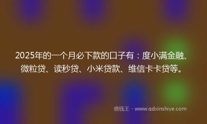 2025年的一个月必下款的口子有：度小满金融、微粒贷、读秒贷、小米贷款、维信卡卡贷等。