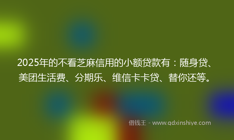 2025年的不看芝麻信用的小额贷款有：随身贷、美团生活费、分期乐、维信卡卡贷、替你还等。
