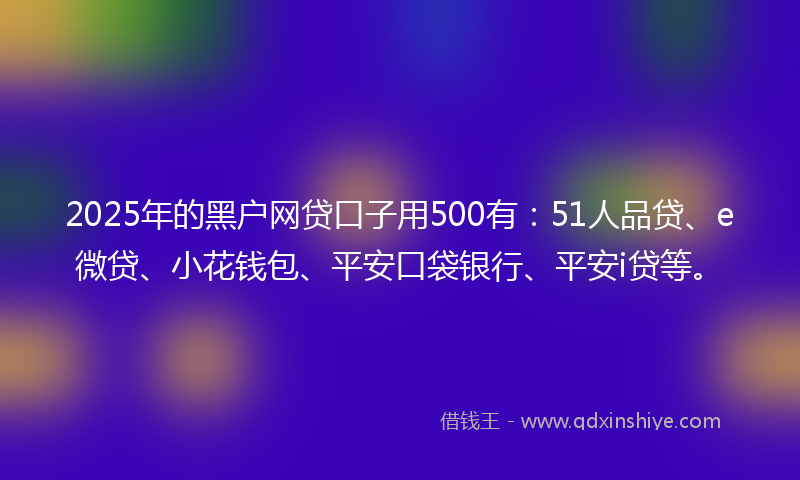 2025年的黑户网贷口子用500有：51人品贷、e微贷、小花钱包、平安口袋银行、平安i贷等。