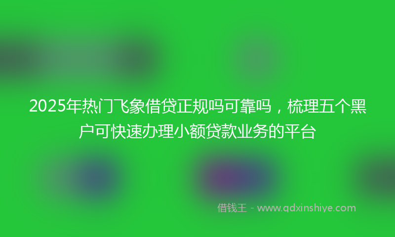 2025年热门飞象借贷正规吗可靠吗，梳理五个黑户可快速办理小额贷款业务的平台