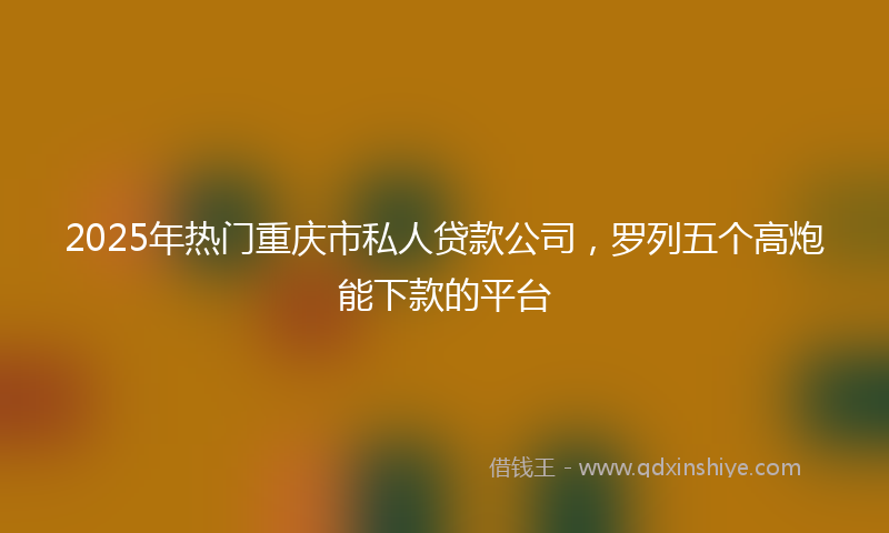 2025年热门重庆市私人贷款公司，罗列五个高炮能下款的平台