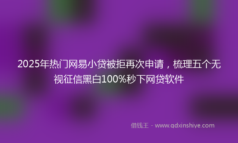 2025年热门网易小贷被拒再次申请，梳理五个无视征信黑白100%秒下网贷软件