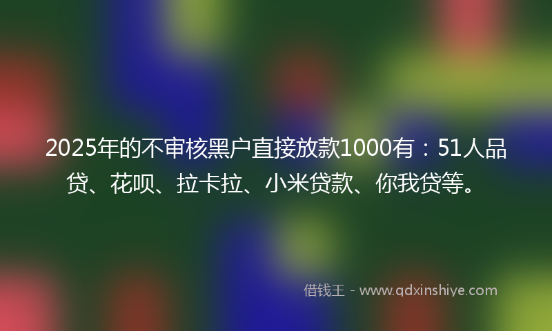 2025年的不审核黑户直接放款1000有：51人品贷、花呗、拉卡拉、小米贷款、你我贷等。