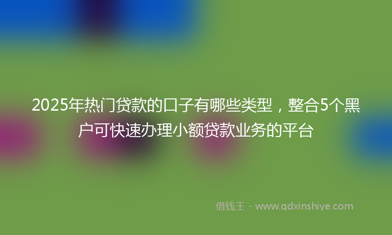 2025年热门贷款的口子有哪些类型，整合5个黑户可快速办理小额贷款业务的平台