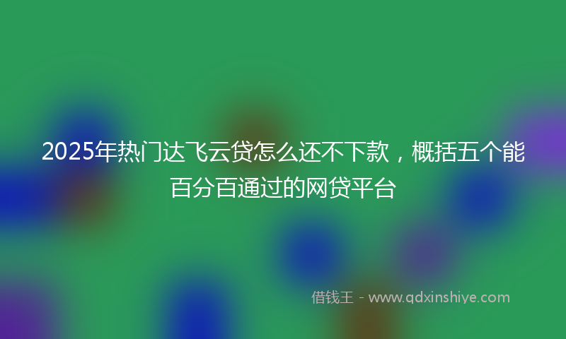 2025年热门达飞云贷怎么还不下款，概括五个能百分百通过的网贷平台
