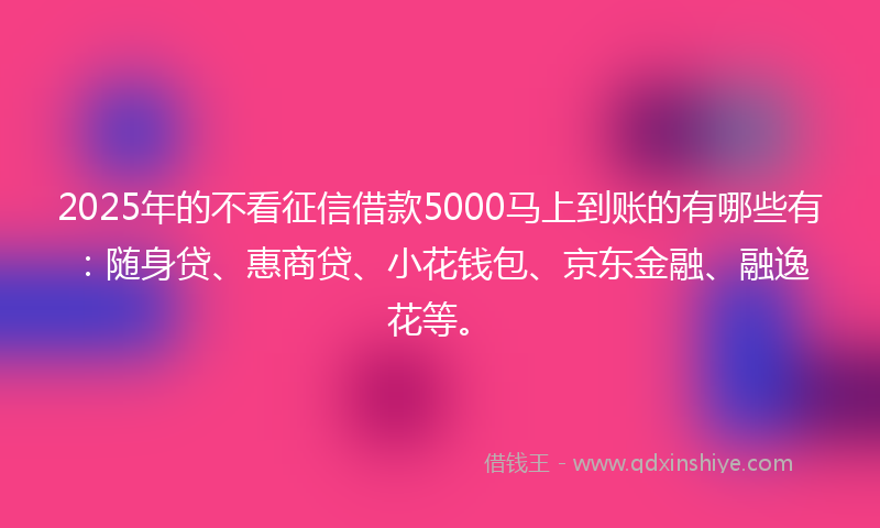 2025年的不看征信借款5000马上到账的有哪些有：随身贷、惠商贷、小花钱包、京东金融、融逸花等。