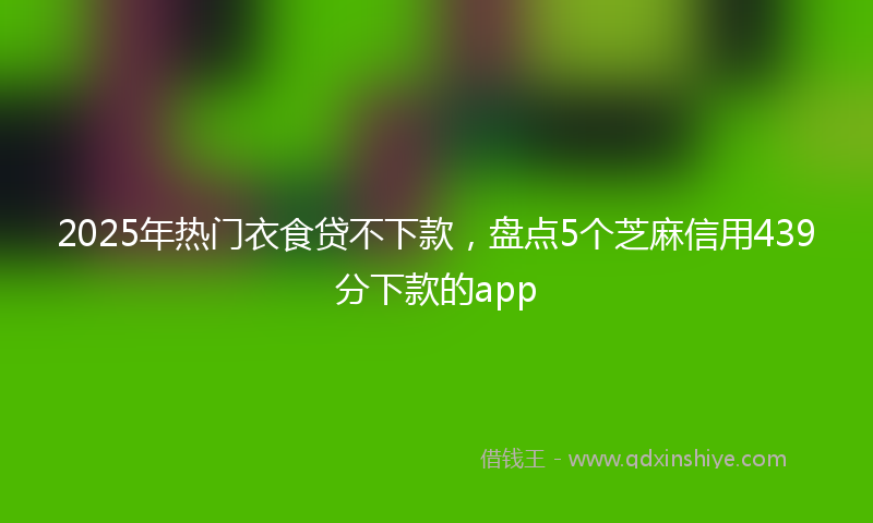 2025年热门衣食贷不下款,盘点5个芝麻信用439分下款的app