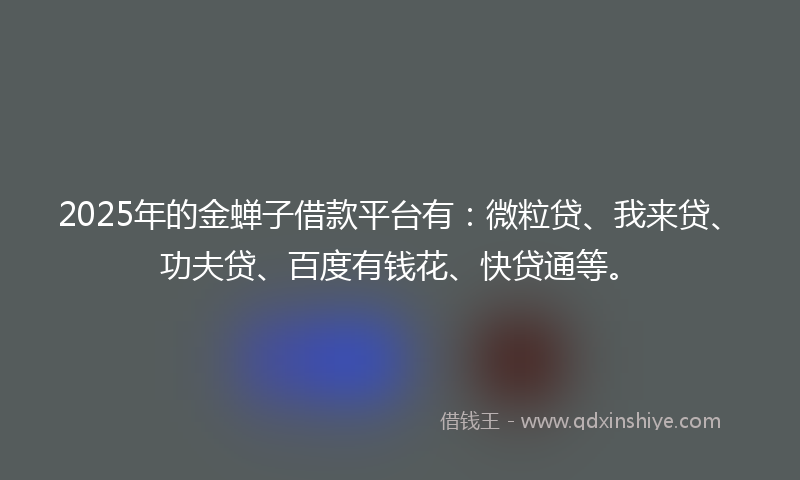 2025年的金蝉子借款平台有：微粒贷、我来贷、功夫贷、百度有钱花、快贷通等。