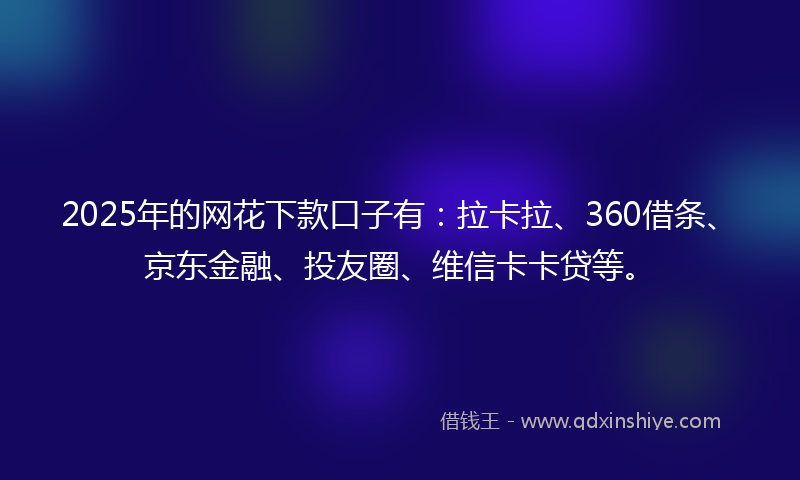 2025年的网花下款口子有：拉卡拉、360借条、京东金融、投友圈、维信卡卡贷等。