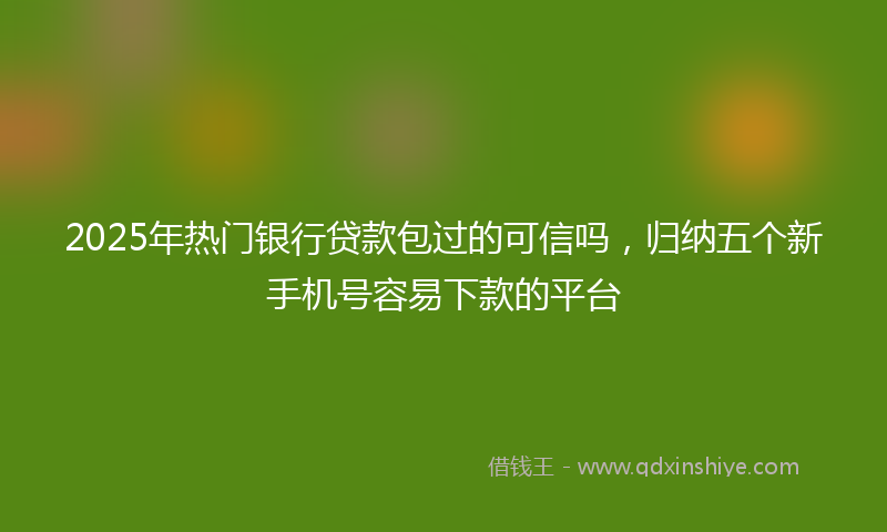 2025年热门银行贷款包过的可信吗，归纳五个新手机号容易下款的平台