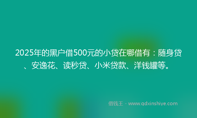 2025年的黑户借500元的小贷在哪借有：随身贷、安逸花、读秒贷、小米贷款、洋钱罐等。