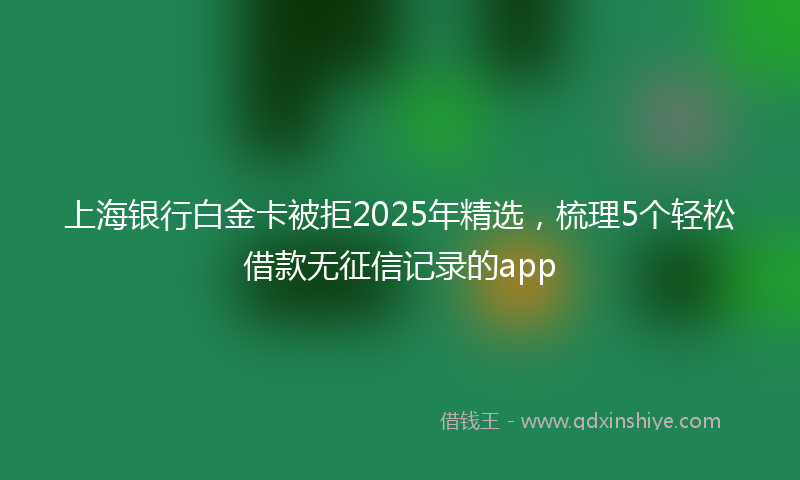 上海银行白金卡被拒2025年精选，梳理5个轻松借款无征信记录的app