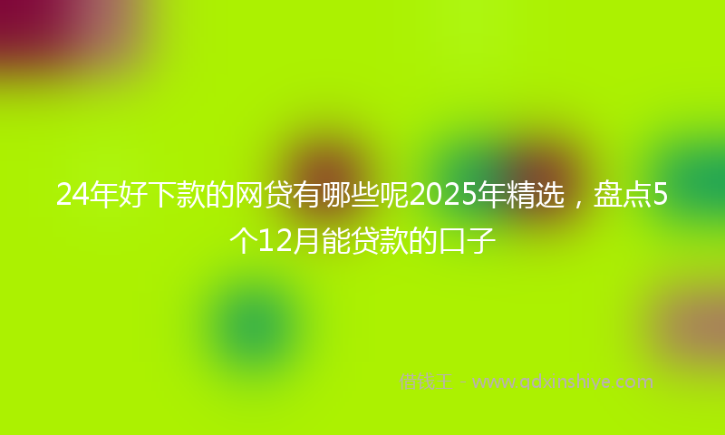 24年好下款的网贷有哪些呢2025年精选，盘点5个12月能贷款的口子