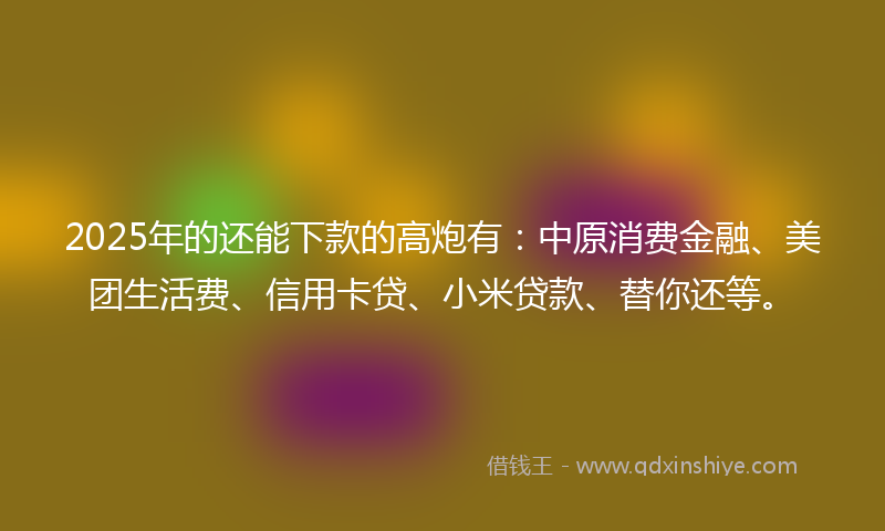 2025年的还能下款的高炮有：中原消费金融、美团生活费、信用卡贷、小米贷款、替你还等。