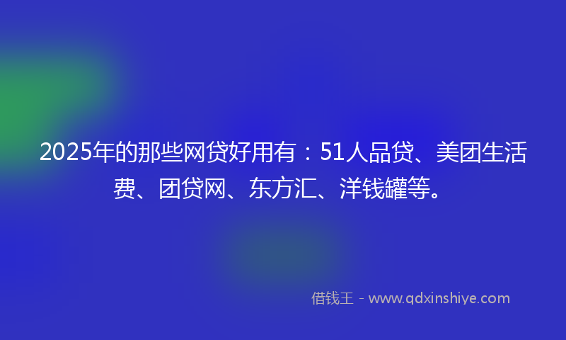 2025年的那些网贷好用有：51人品贷、美团生活费、团贷网、东方汇、洋钱罐等。