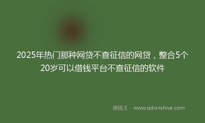 2025年热门那种网贷不查征信的网贷，整合5个20岁可以借钱平台不查征信的软件