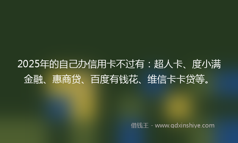 2025年的自己办信用卡不过有：超人卡、度小满金融、惠商贷、百度有钱花、维信卡卡贷等。