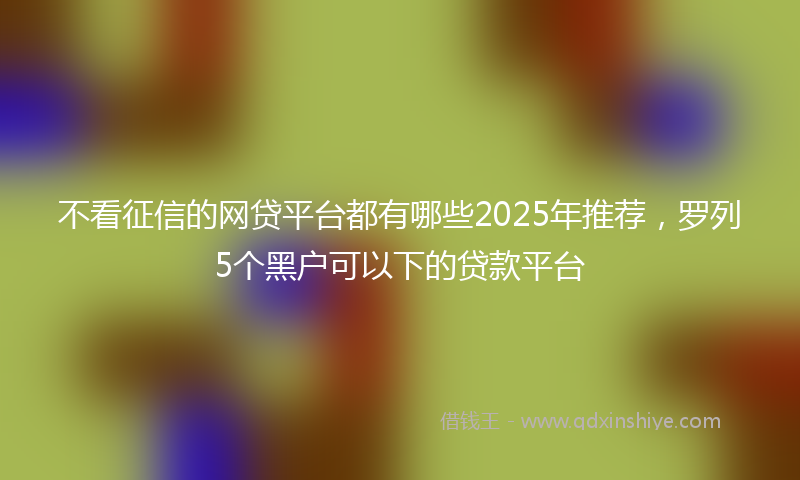 不看征信的网贷平台都有哪些2025年推荐，罗列5个黑户可以下的贷款平台