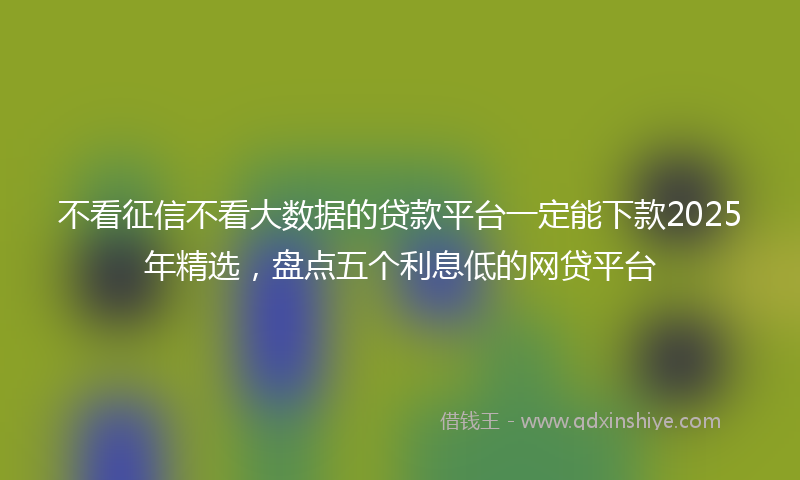 不看征信不看大数据的贷款平台一定能下款2025年精选，盘点五个利息低的网贷平台