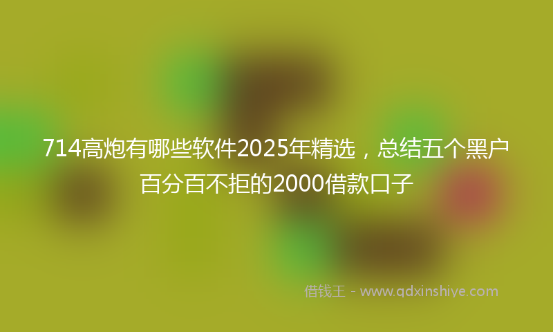 714高炮有哪些软件2025年精选，总结五个黑户百分百不拒的2000借款口子